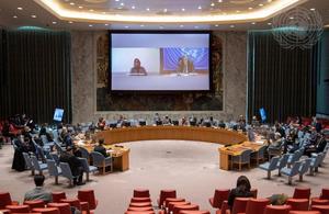 UN Security Council