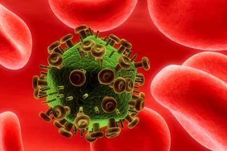 HIV virus