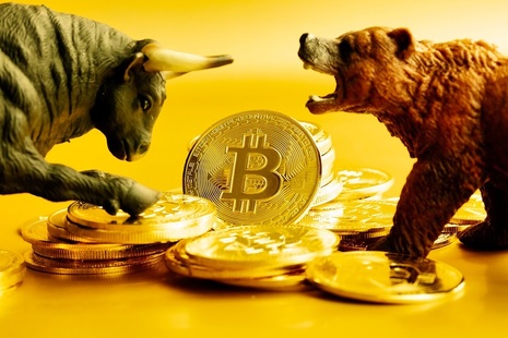 Bitcoin Bull Bear
