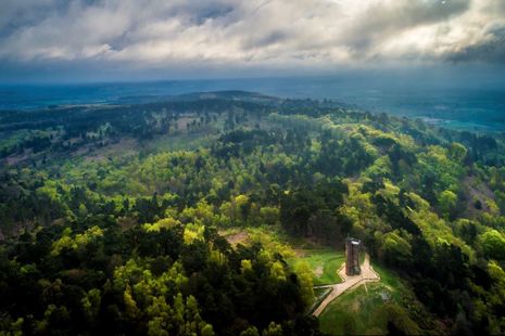 Photograph of the view across the tree-tops of Surrey Hills AONB, taken from the air.