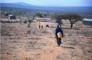 Read ‘New UK support to tackle impact of droughts and flooding in East Africa’ article