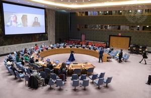 UN Security Council