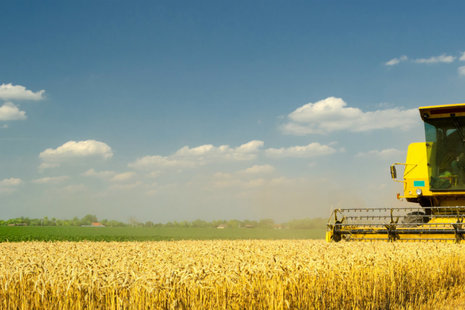 Harverster in field