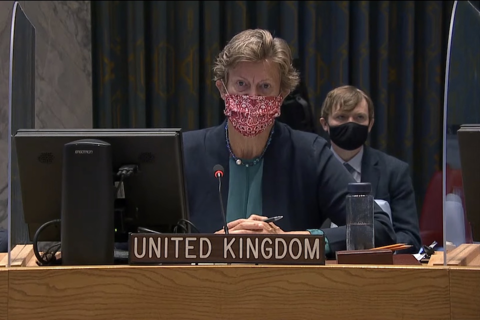 Посол Барбара Вудворд в Совете Безопасности ООН
