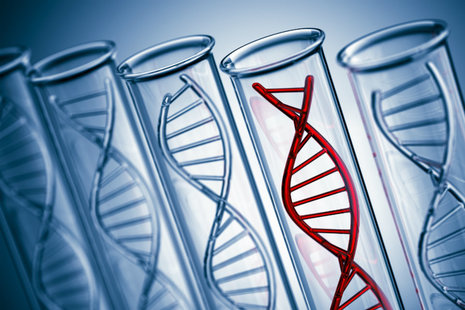 DNA helix image
