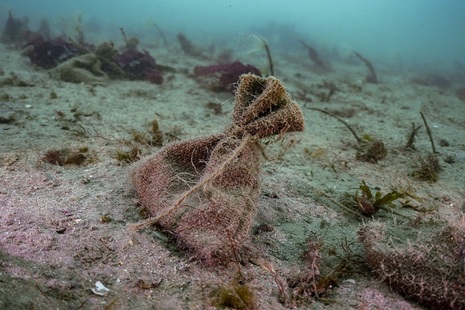 A small seed bag sat underwater on the seabed.