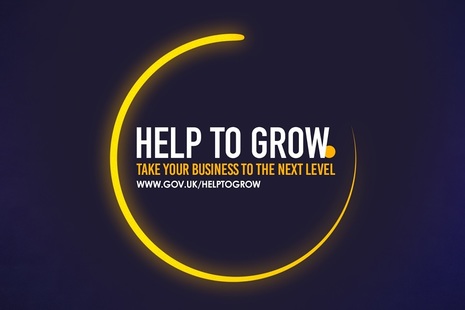 Yellow circle on navy blue background with text 'Help to Grow. Take your business to the next level'