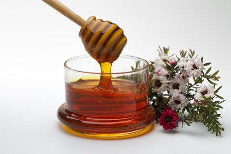 Honey and manuka flowers
