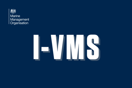 Логотип ИВМС