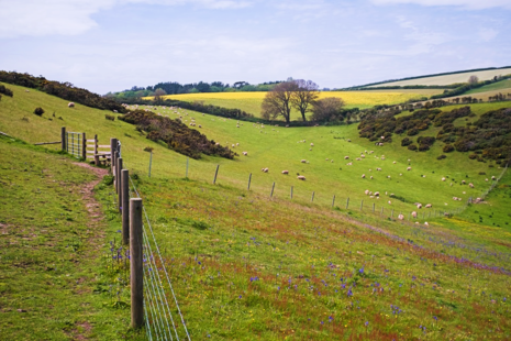 Photo of countryside
