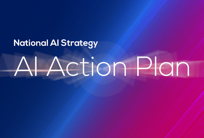 National AI Strategy - AI Action Plan