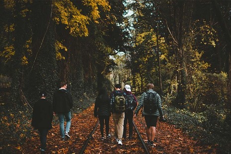 Young people walking in a forest