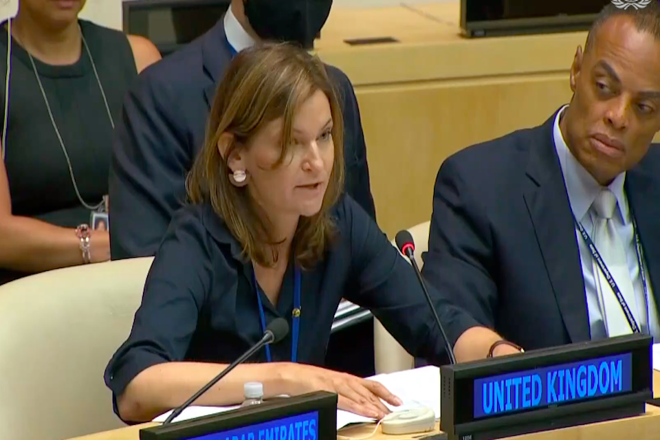 Willingness to collaborate and bridge differences for the greater good underpins Security Council negotiations