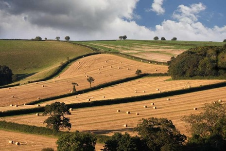View of British farmland with rolling hills and haybales sitting in the field and green trees in the foreground