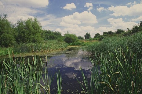 An English river with a grassy bank