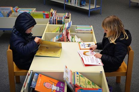 двое детей читают книжки с картинками
