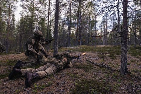 Soldiers in forest