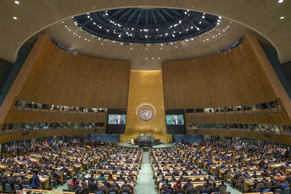 Генеральная Ассамблея Организации Объединенных Наций