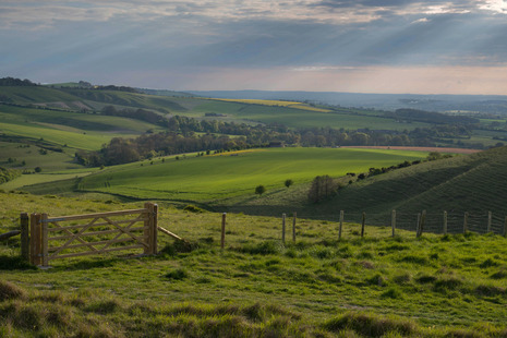 The Wiltshire rolling hills in summertime