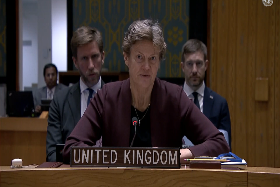 Посол Барбара Вудворд выступает перед Советом Безопасности