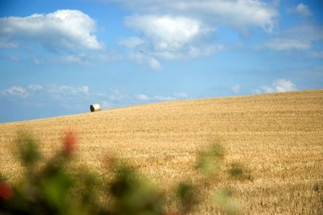 Photo of countryside with hay bales
