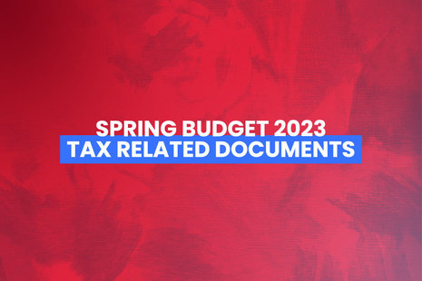 Документы, связанные с налогами на весенний бюджет 2023 года