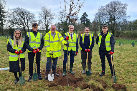 Planting trees at Pelham House in Cumbria