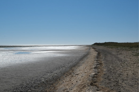 Photograph of the coastline in Lincolnshire with the tide out, exposing mudflats and shingle.