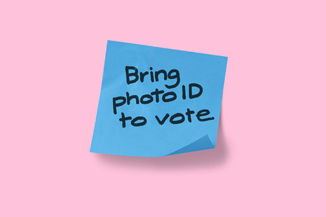 принести удостоверение личности с фотографией для голосования