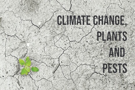 Climate change, plants and pests image