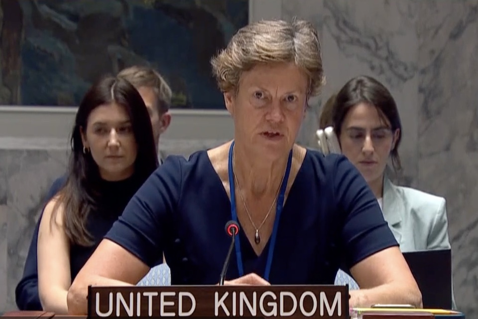 Посол Барбара Вудворд в Совете Безопасности
