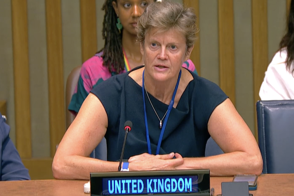 Посол Барбара Вудворд выступает в ООН