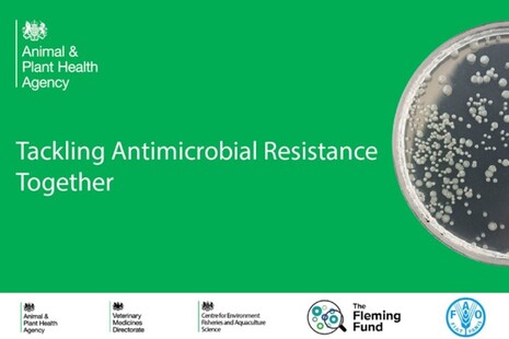 APHA Image tackling antimicrobial resistance together