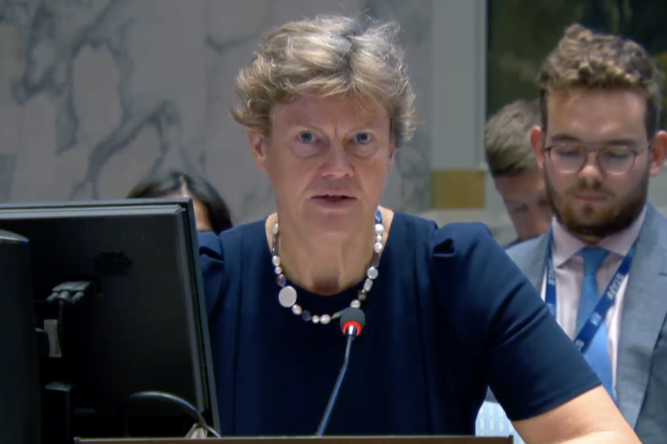 Посол Барбара Вудворд выступает в Совете Безопасности ООН