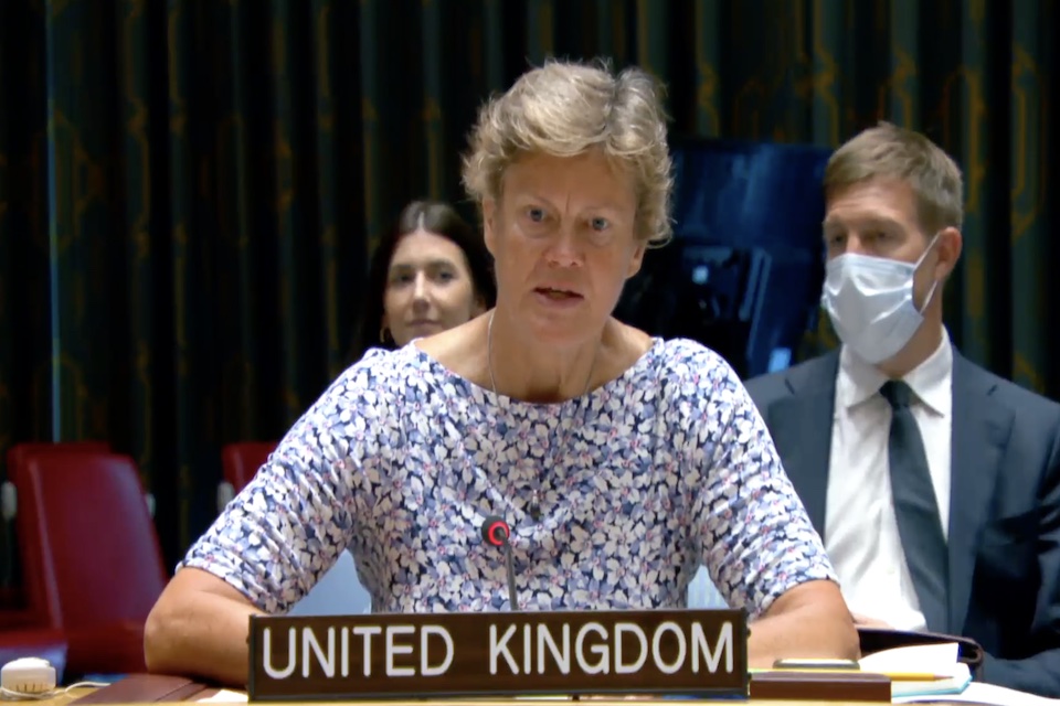 Посол Барбара Вудворд в Совете Безопасности