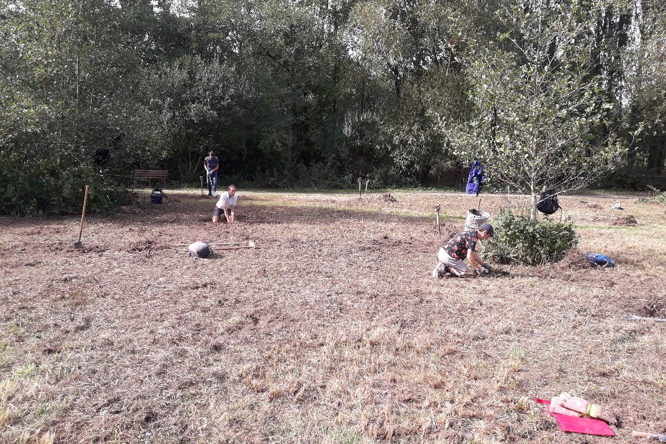 Photograph of people getting rid of invasive species at Par Sands