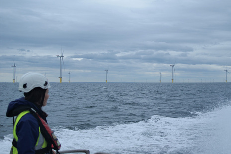 Person on a boat looking at an offshore windfarm