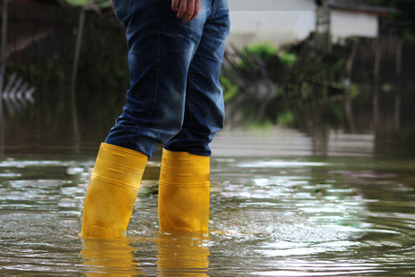Yellow gum boots in flood water