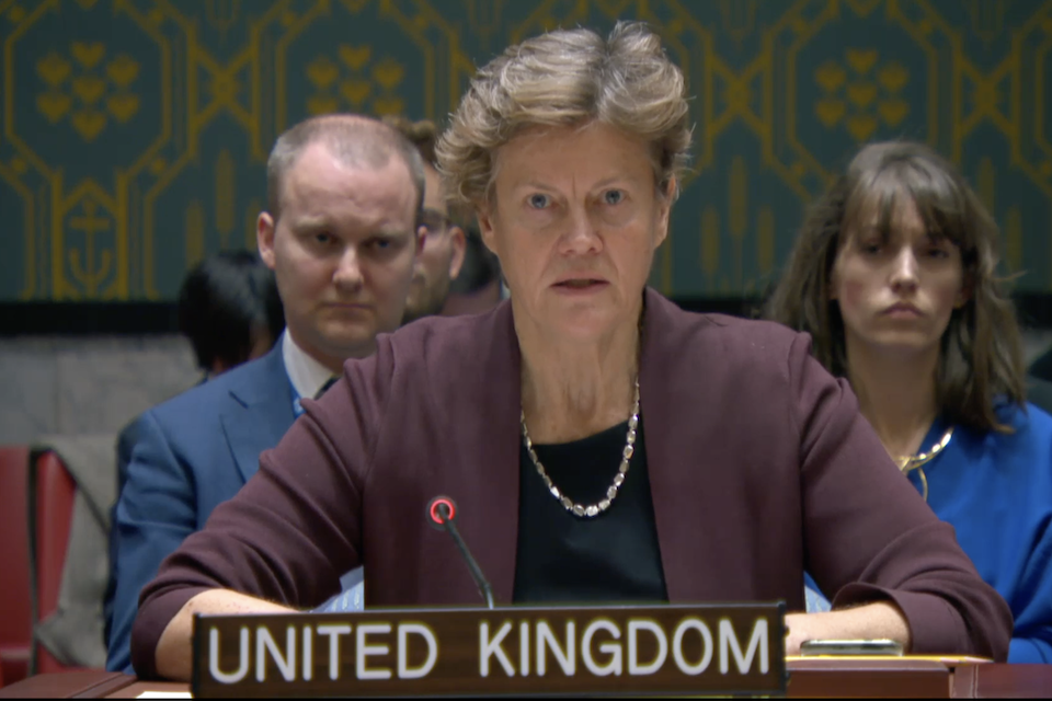 Посол Барбара Вудворд на заседании Совета Безопасности