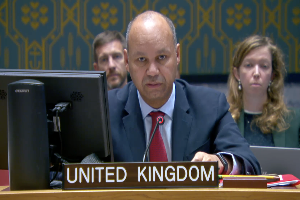 Устойчивость Украины и поддержка ее международных партнеров останутся сильными: заявление Великобритании в Совете Безопасности ООН