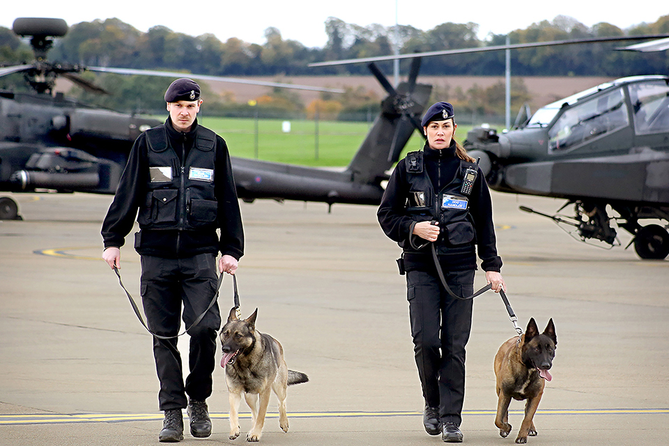 2 guardias del Ministerio de Defensa tienen un perro cada uno con correa.