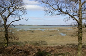 It is an image of the Stour Estuary. On the horizon there is the open sea, and in the foreground you can see small streams leading towards some trees