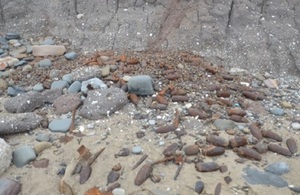 Unexploded ordnance spread across the beach and rocks.