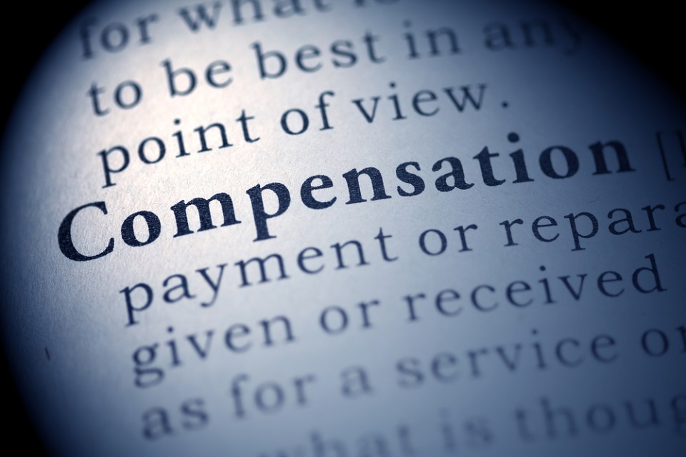 Dictionary definition of compensation