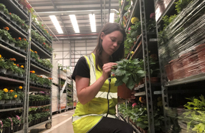 Picture of female plant inspector inspecting plants