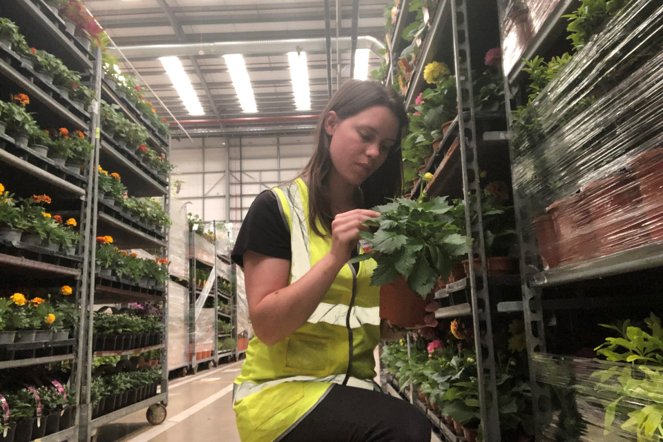 APHA launches recruitment campaign for plant health inspectors - GOV.UK