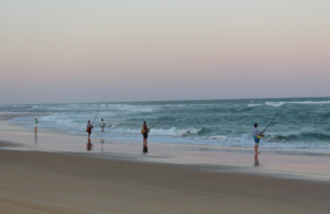 people fishing on a beach