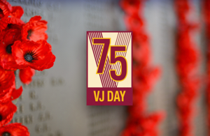 graphic showing VJ logo and poppies