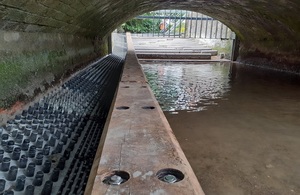 Picture of the new fish pass in Norwich.