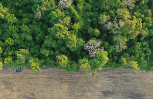 A rainforest is pictured from an above, birds eye view.